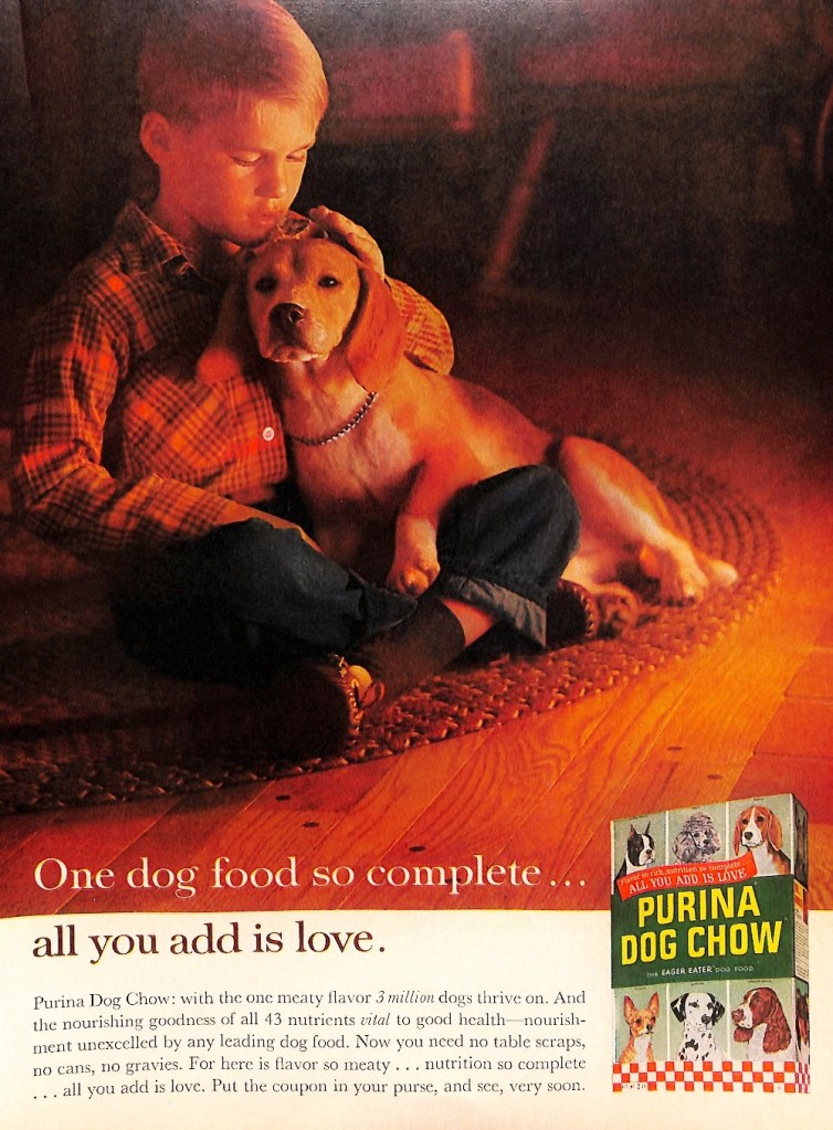 Purina Dog Chow Ad - Good Housekeeping October 1963
